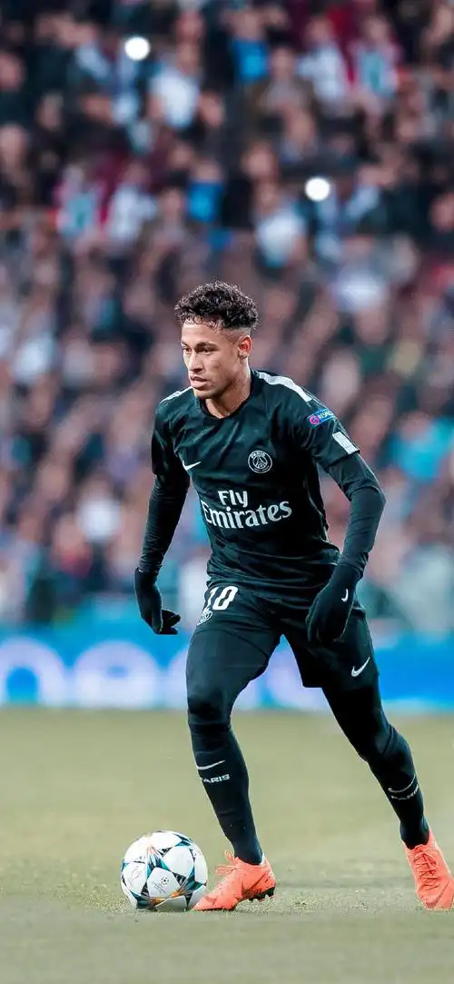 了内容主题 了内容主题