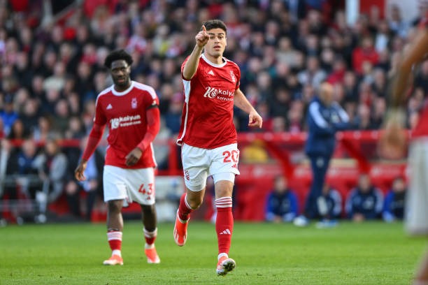 他的球队合 他的球队合